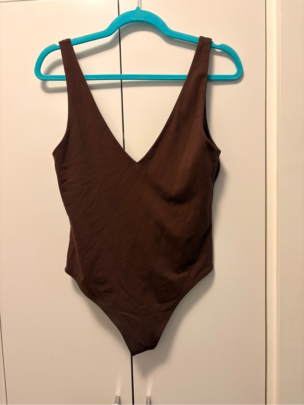 Brown Aritzia deep V contour bodysuit